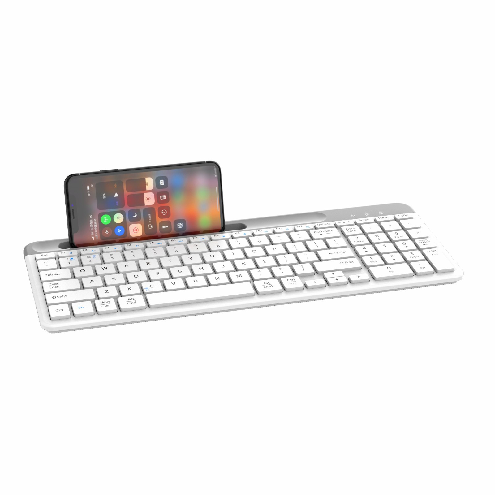 bluetooth+wireless dual model